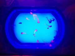 -沈阳海洋探索中心