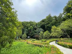 -上海佘山国家森林公园天马山园