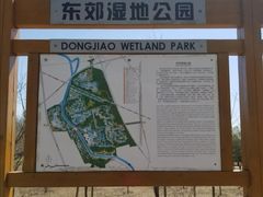 游乐设施-东郊湿地公园