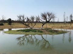 -夏河溪乡野公园