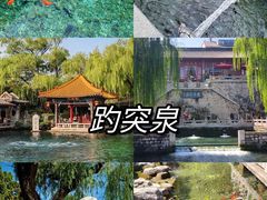 -老济南·地道济南菜(大明湖店)