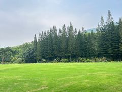 -深圳仙湖植物园