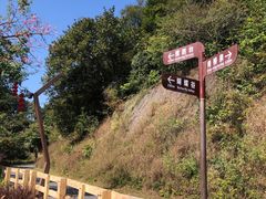 -阳台山森林公园