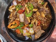 -东鸽皇(奥园·中环广场店)