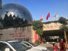 -陕西自然博物馆