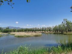 -野鸭湖国家湿地公园