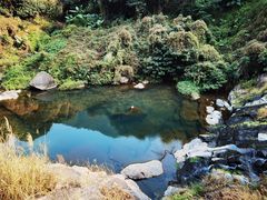 -马峦山郊野公园