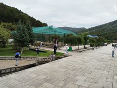 -横道河子东北虎林园