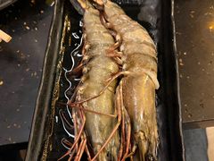 -熊出没日本烧肉放题