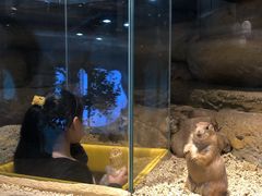 -Mr·Kuma酷么先生雪之乐园