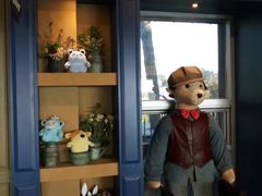 -济州岛泰迪熊博物馆