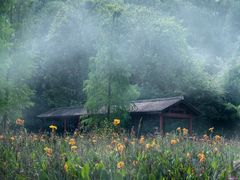 -重庆彩云湖湿地公园