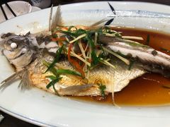 -醉美东江·三文鱼·烧鸡公