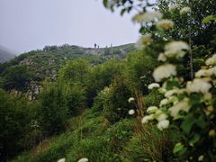 -灵山