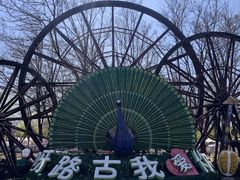 -呀路古热带植物园