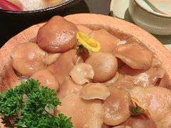 -季季山·云南野生菌火锅(上海首店)