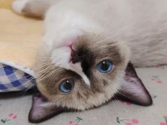 -奈雪的茶(时代天街店)