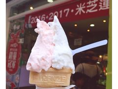 -柠檬车露(卖草地店)
