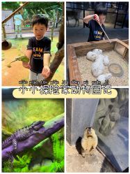 -酷嗒动物文化乐园(cutezoo西溪乐天城店)