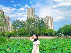 -南翠屏公园