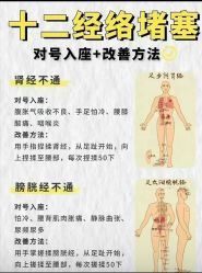 点击看大图 -玛莲朵·海菲秀冰珀科