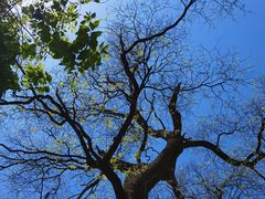 -北京上方山国家森林公园