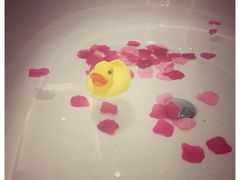 -上海外滩英迪格酒店