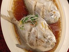 -舟山喜来登绿城酒店·天宝阁中餐厅
