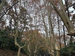 -灵谷景区