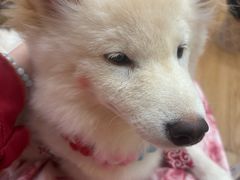 -伽利略剧本探案馆(国贸店)