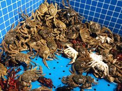 -乔哥铭洋海鲜自助(皇城恒隆广场店)