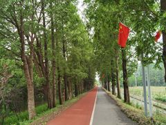 -上海长兴岛郊野公园