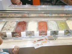 -极拉图·现制冰淇淋(大卫城店)