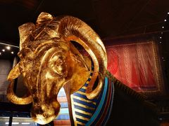 游乐设施-国家大剧院