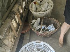 -马陆小张葡萄园农家乐