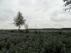 -扁都口生态休闲旅游区