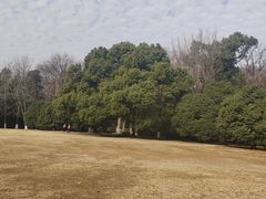 -灵谷景区