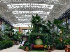 -郑州银基黄帝宫御温泉