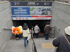-华西坝(地铁站)