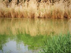 -Supine Bistro溯泮餐厅