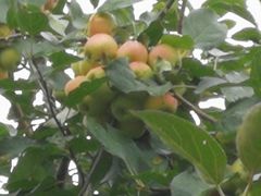 -吉林大学前卫校区南区-日新楼