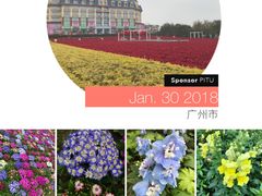 -广州花之恋城堡酒店