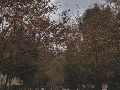 -都江堰普照寺