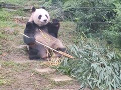 -石排湾郊野公园