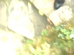 -杭州黄龙洞