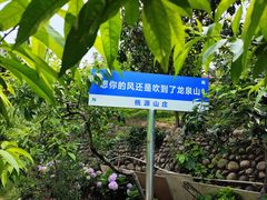 -桃源山庄·水蜜桃采摘·柴火鸡·烧烤团建(龙泉山店)
