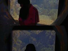 -福州罗源湾海洋世界旅游区