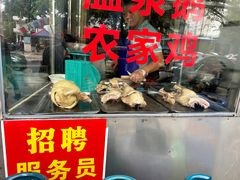 -邮电新村嘉积鸭美味园