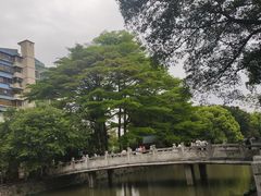 -晓港公园