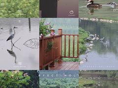 -北京麋鹿生态实验中心